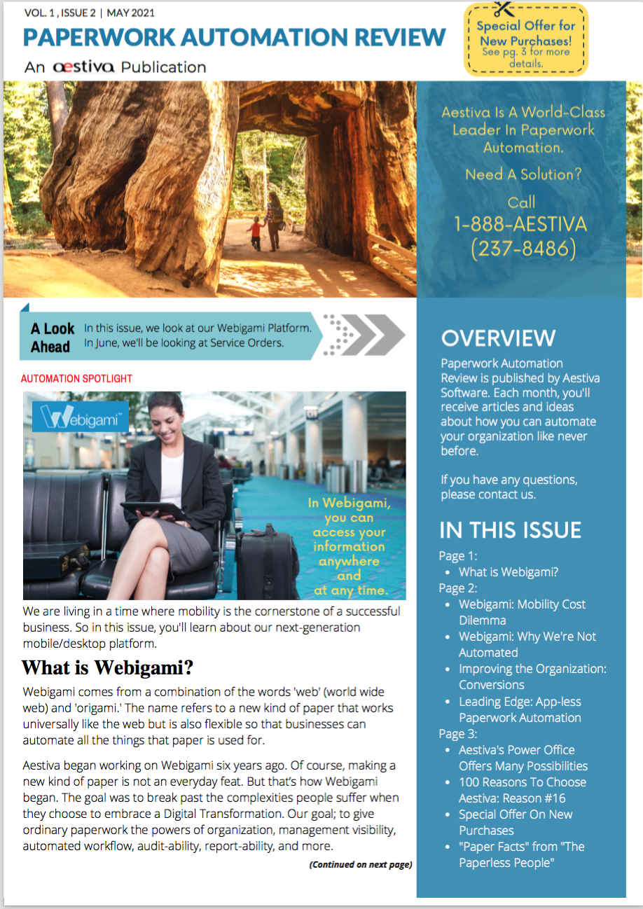 screenshot of Aestiva Purchase Order